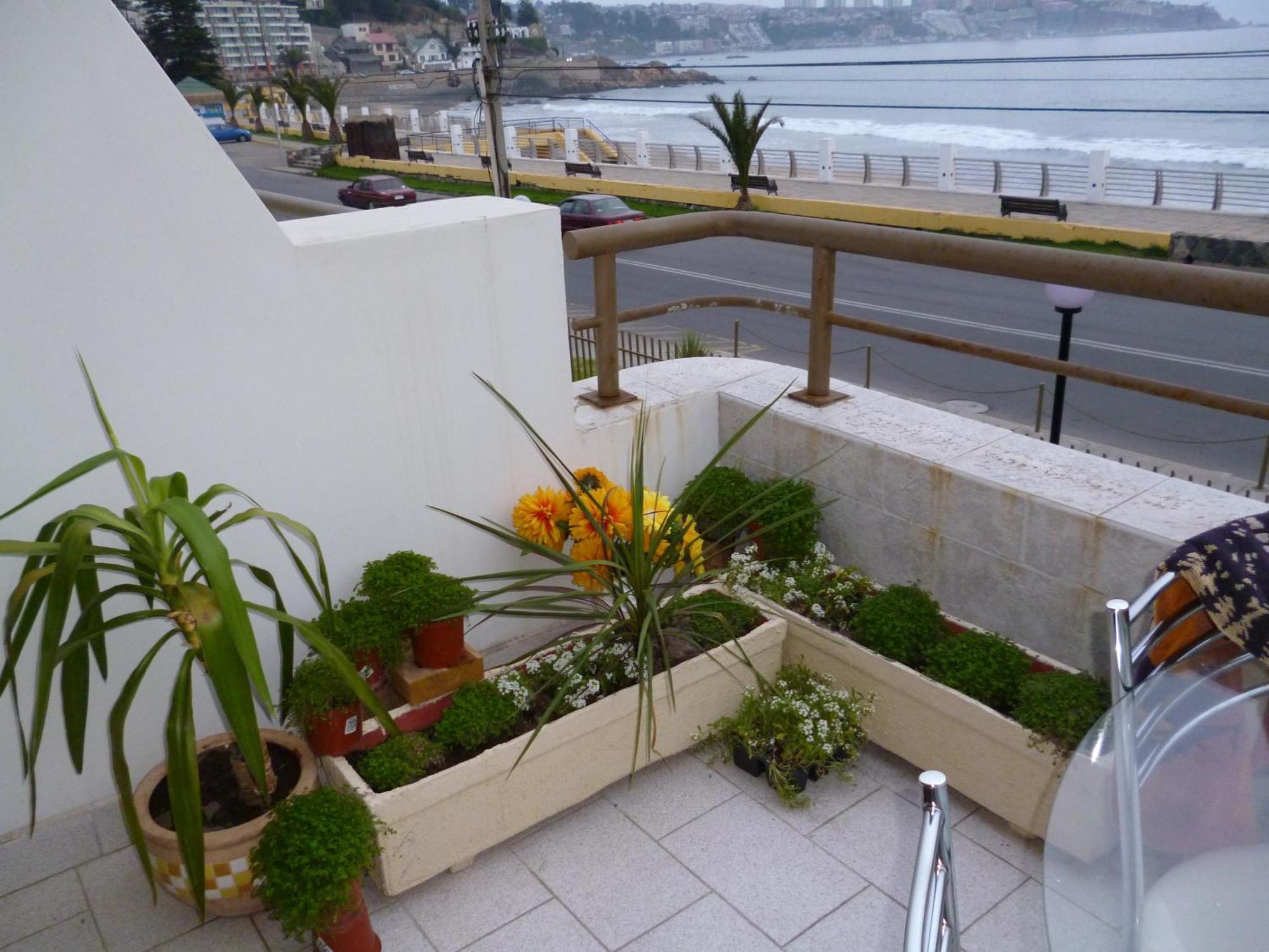 Departamento Frente Al Mar Apartment Concon Bagian luar foto